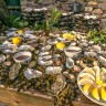 Galway International Oyster & Seafood Festival: вкусная поездка в Голуэй в сентябре!