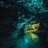 Светящиеся пещеры Вайтомо в Новой Зеландии.