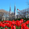 Канадский фестиваль тюльпанов – повод для путешествия.