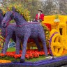 Конкурс цветов в Нидерландах, на который стоит приехать!