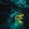 Светящиеся пещеры Вайтомо в Новой Зеландии.